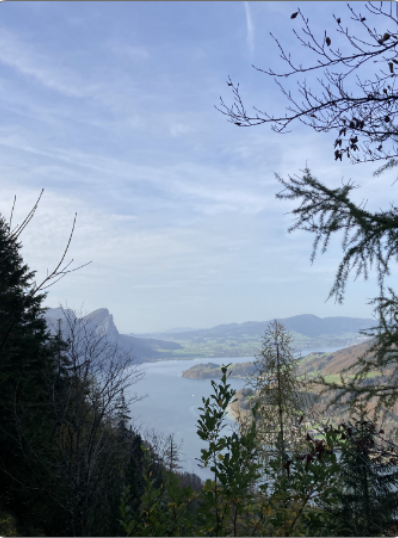 Blick auf die Chiemgauer Berge und den See als Naturinspiration für Studio Schikoko.