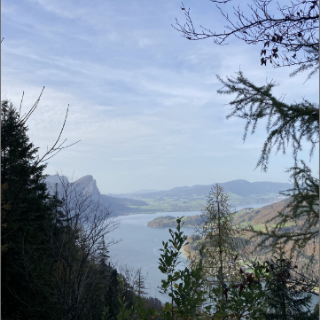 Blick auf die Chiemgauer Berglandschaft mit See als Inspiration für Studio Schikoko.